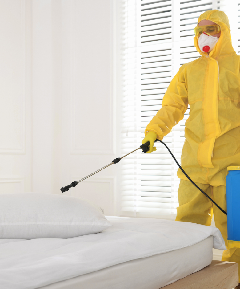 Professional Pest Control Team in Edwardstown